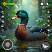 Virtual Duck Family Game 3D play online for free